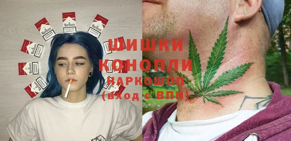 дмт Анива