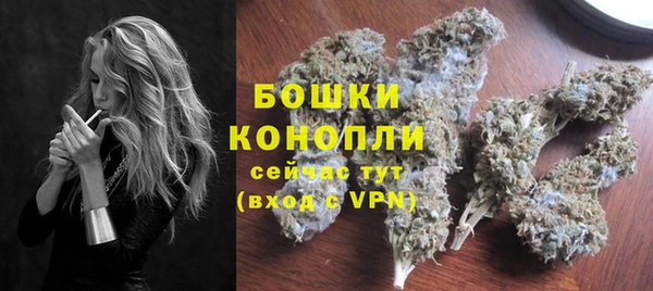 молекула духа Медногорск