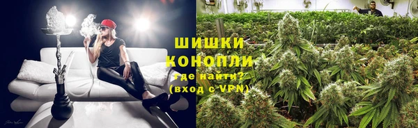 молекула духа Медногорск