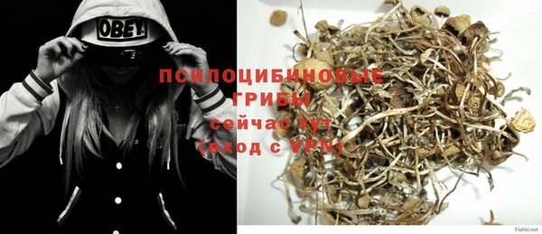 MDMA Медвежьегорск